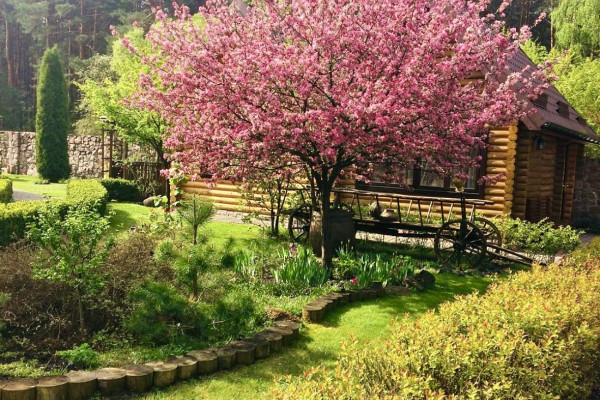 Продаж готельного комплексу "Машівський бір" на Волині